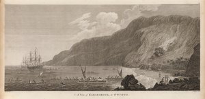 Een uitzicht op Karakokooa, in Owyhee door John Webber